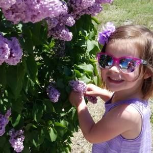 Meet your Posher, Sterling